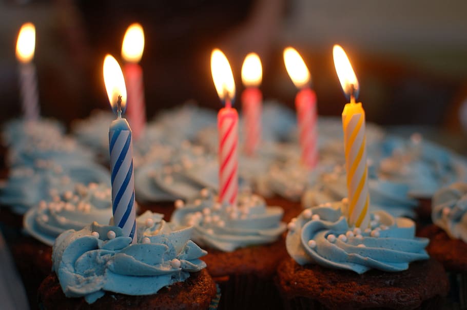 cupcakes with lighted candles lot, birthday cake, party, celebrate, HD wallpaper