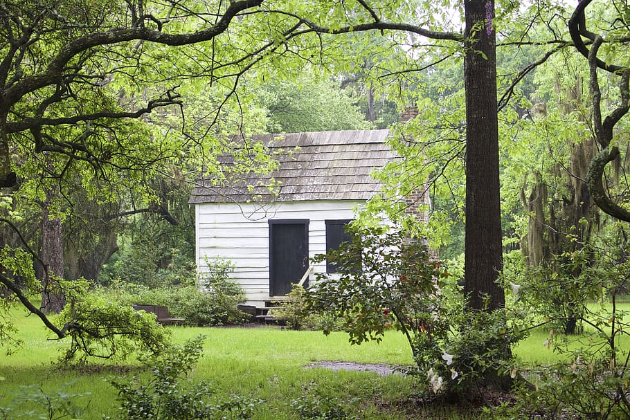 cabin, charleston, trees, plant, architecture, built structure HD wallpaper