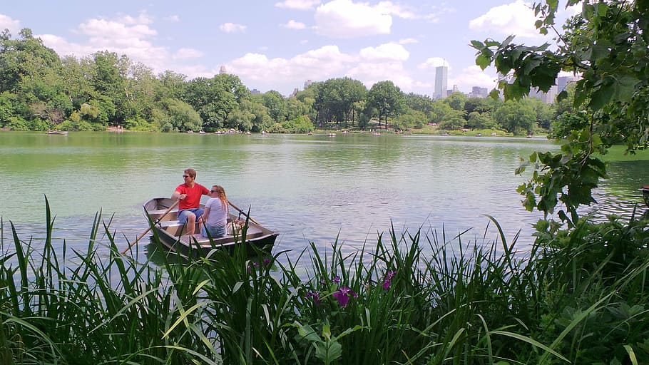 romantic, boat, boating, park, new york, plant, water, tree HD wallpaper