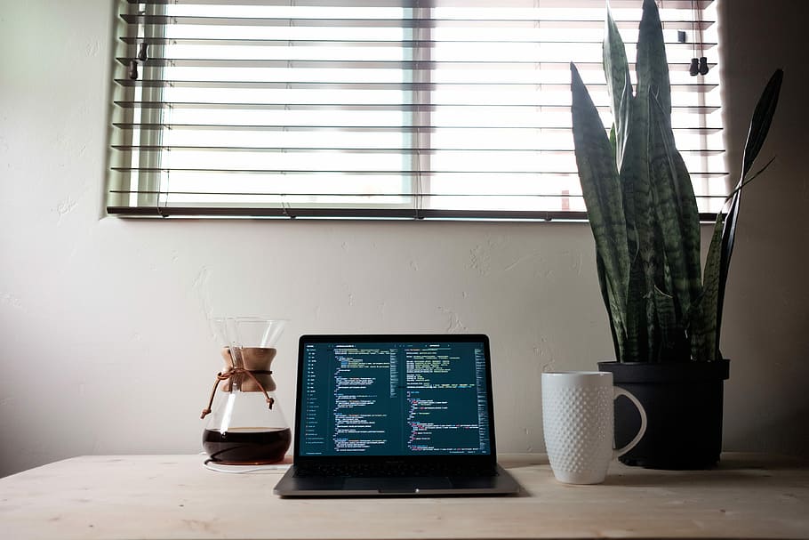 black laptop computer beside white ceramic mug, laptop between mug and flask near potted snake plant HD wallpaper