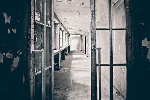 glass hallway door open, lost places, lapsed, old, leave, ruin HD wallpaper