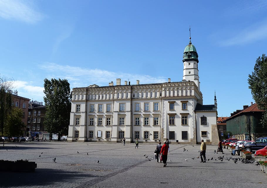 cityscape, square, pigeons, tourism, town, old town, historic building, HD wallpaper