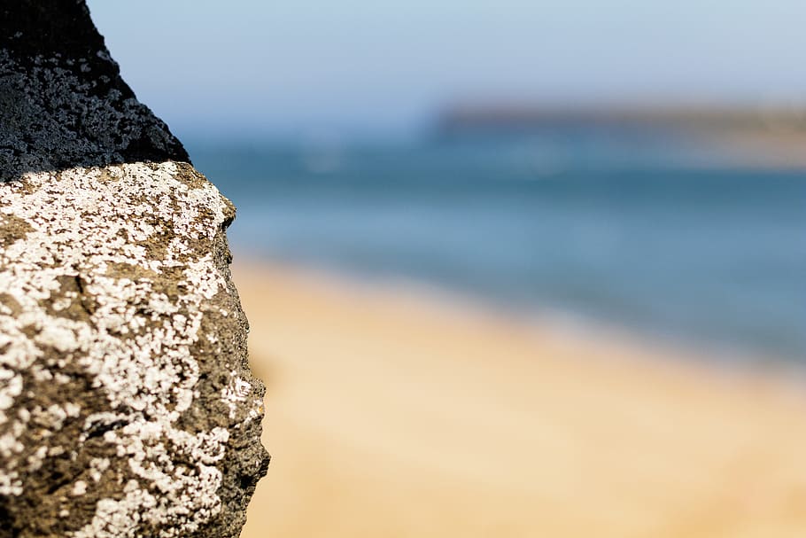 beach, rock, sand, barnacles, summer, landscape, shore, seashore HD wallpaper