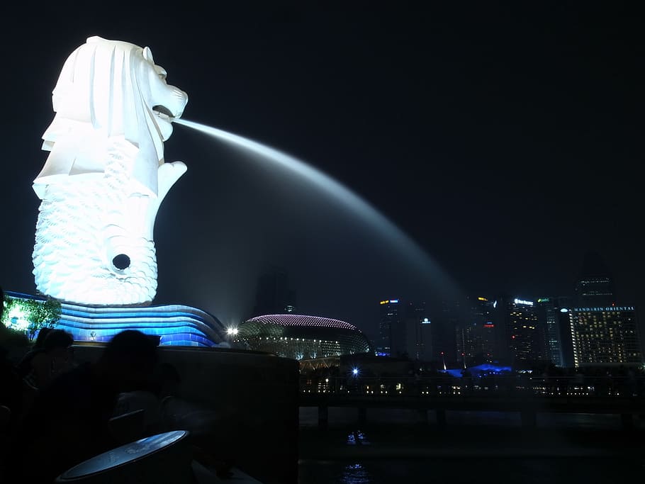 Merlion statue, Night View, Singapore, Monument, famous Place, HD wallpaper