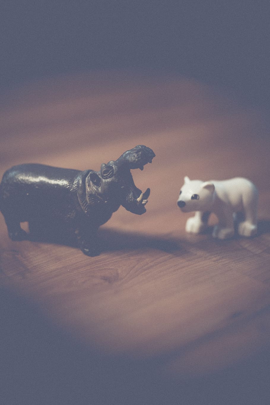 blank, creative, cute, figurines, hippopotamus, miniature, play HD wallpaper