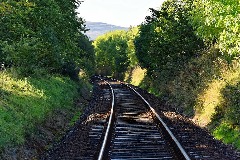 gray train rail surrounding trees, railway line, rail track, railroad, HD wallpaper