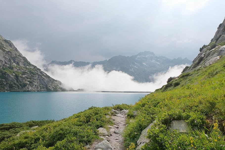 green grass mountain, fjord, valley, view, scenery, outdoor HD wallpaper