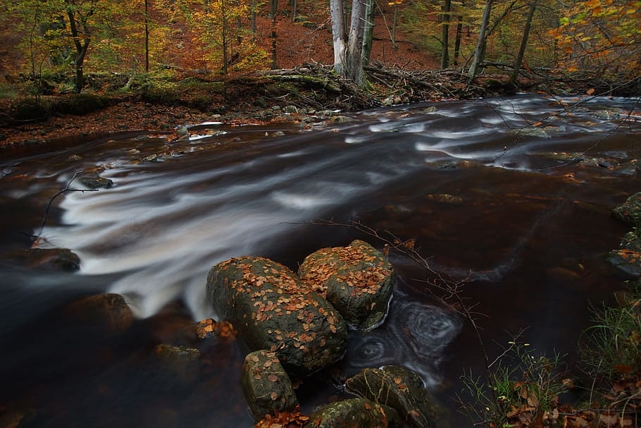 river, ardennes, autumn, water, nature, no people, tree, land HD wallpaper