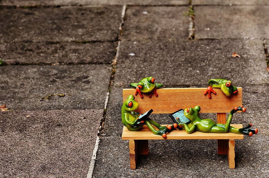frogs, computer, bank, bench, relaxed, figure, funny, rest HD wallpaper