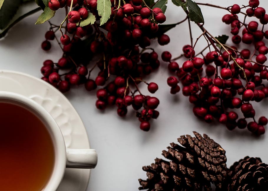 red cherry on white surface, white ceramic cup with saucer beside red berries HD wallpaper