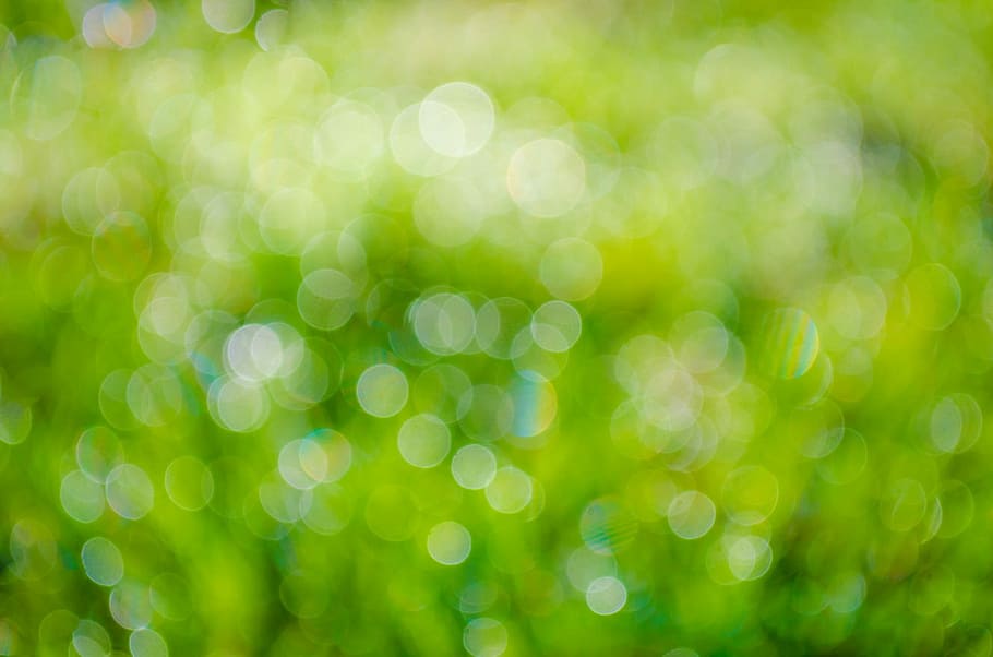 green, bokeh, photography, background, abstract, plant, fresh