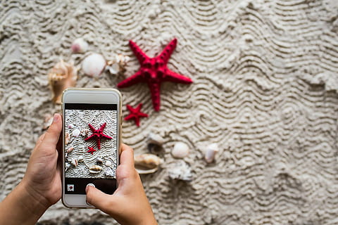 person showing red star fish, phone, blank, mobile, modern HD wallpaper