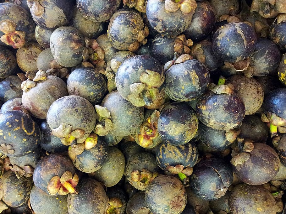 Record long Thai mangosteen season makes Indonesian exporters wonder