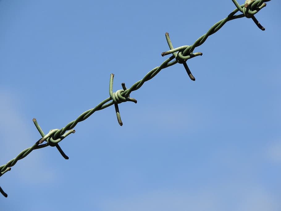 Barbed Wire, Imprisoned, sky, fence, security, blue, protection HD wallpaper