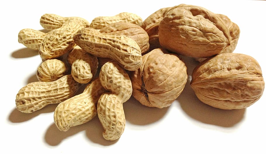 nut lot, food, nuts, peanut, walnut, white background, nut - food, HD wallpaper
