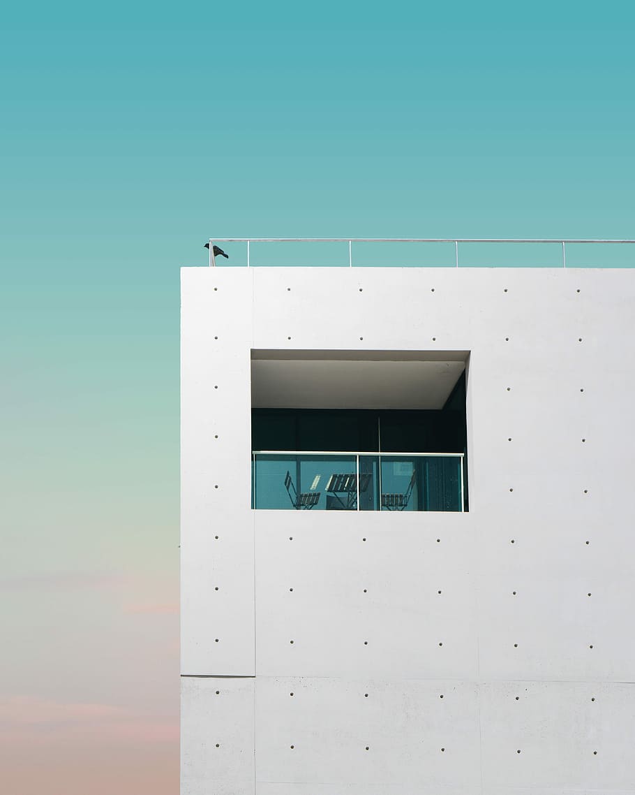 black bird perched on gray building, bird on white concrete building HD wallpaper