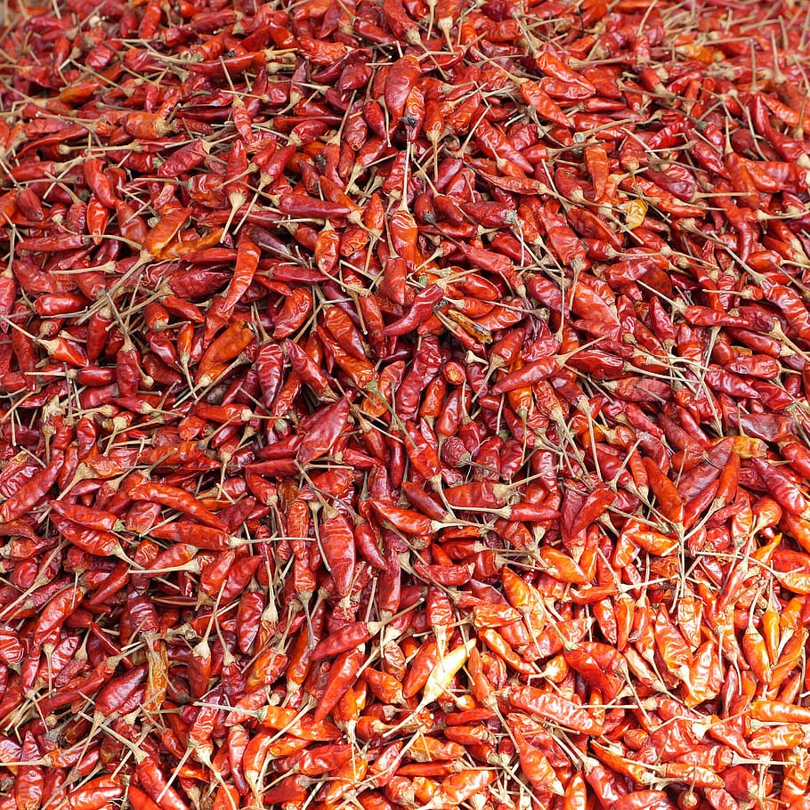 chili, spice, market, sharp, red, burma, myanmar, food, freshness HD wallpaper
