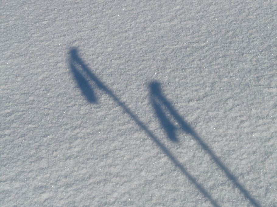 Poles, Shadow, Image, Ski Pole, ski poles, hispanic, backcountry skiiing HD wallpaper