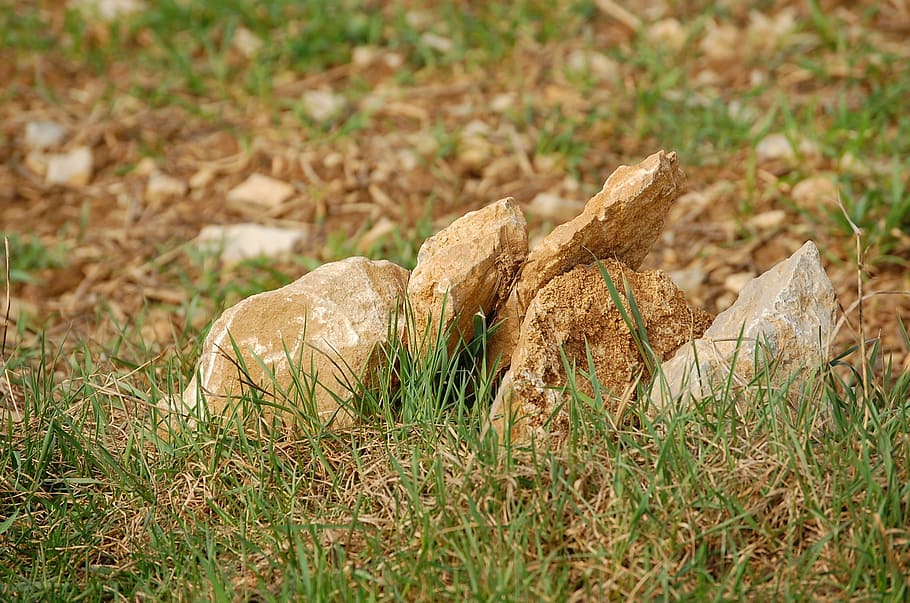stones, meadow, rock, grass, land, plant, nature, field, day HD wallpaper