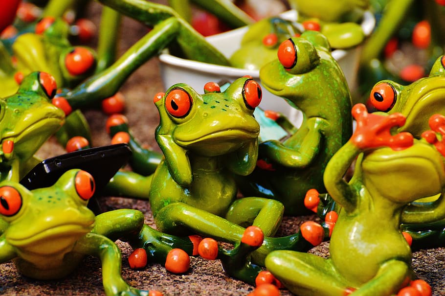 frogs, many, group, collection, cute, sweet, mass, funny, animal representation HD wallpaper