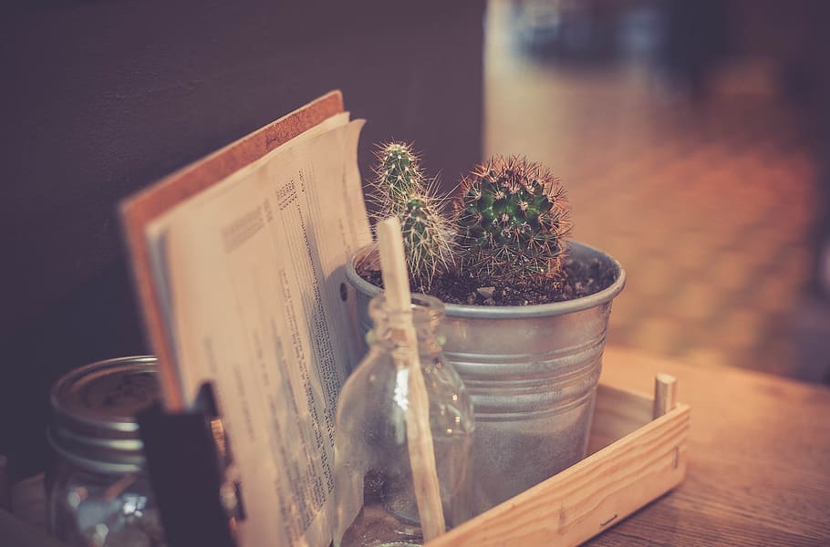 cactus plant on gray metal pot beside white printing paper on brown desk, close-up photography of green ball cactus on gray pot beside book and clear glass vial bottle on brown wooden tray, HD wallpaper