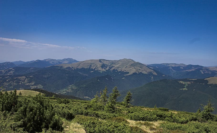 Mountains, Forest, Foliage, green, colorful, landscape, nature HD wallpaper