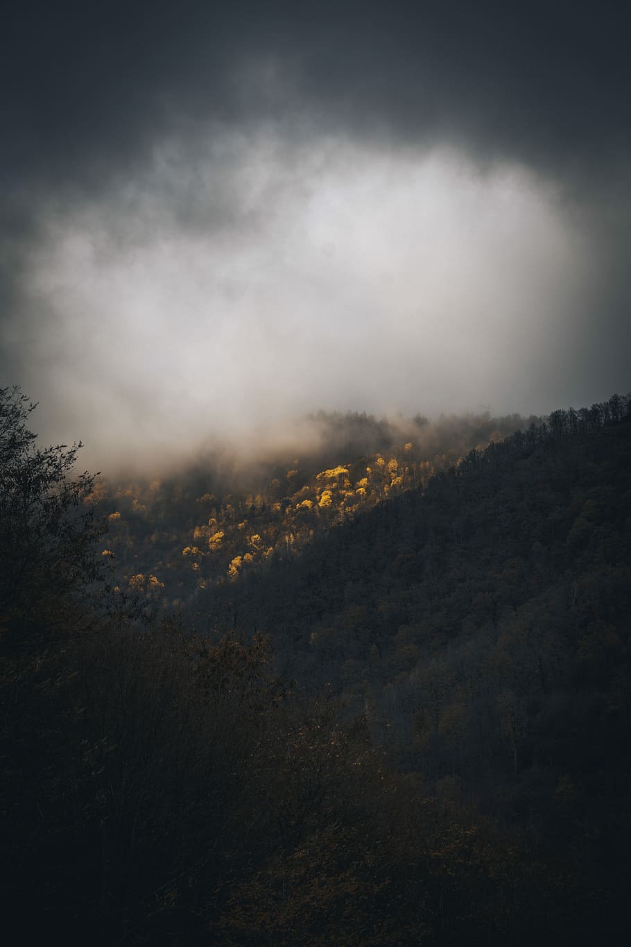 landscape photo of mountain during daytime, forested mountain with cloudy sky HD wallpaper