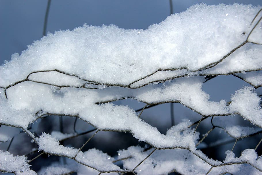 Snow, Crystals, Winter, Cold, snow crystals, frosty, fence HD wallpaper