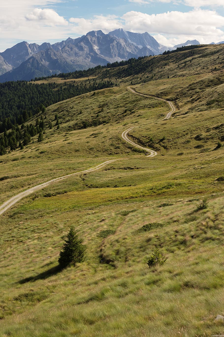 road in between green grass, landscape photo of road surrounded by grass HD wallpaper