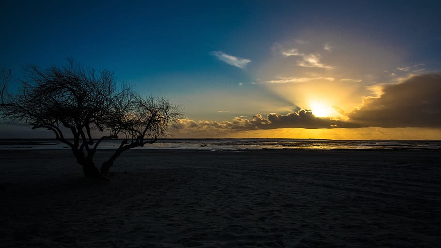 Arcachon, Lanton, Basin, Sunset, nature, sky, beauty in nature HD wallpaper