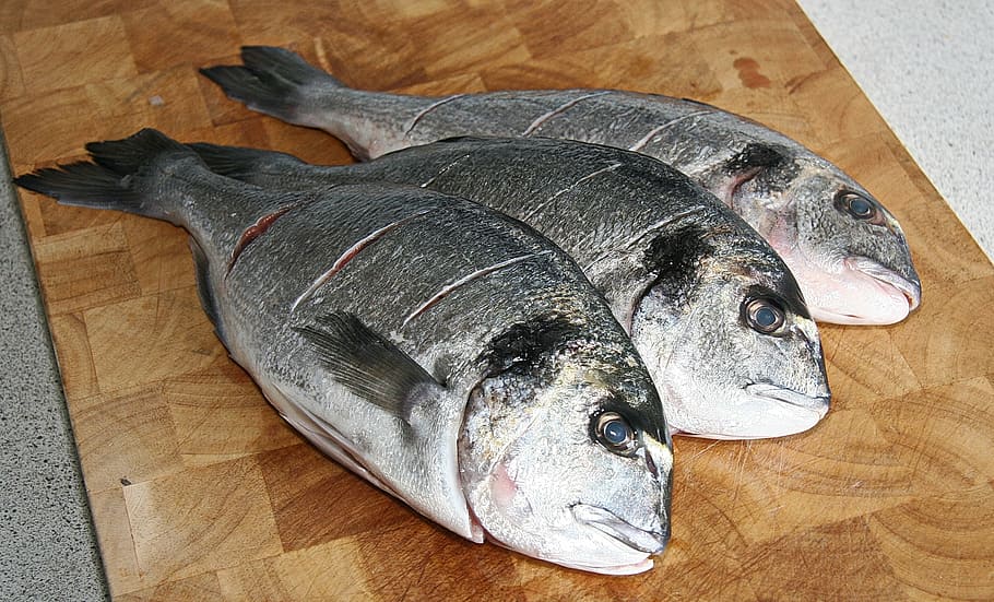 dourado, fish, mediterranean, dining, food, ready for frying HD wallpaper