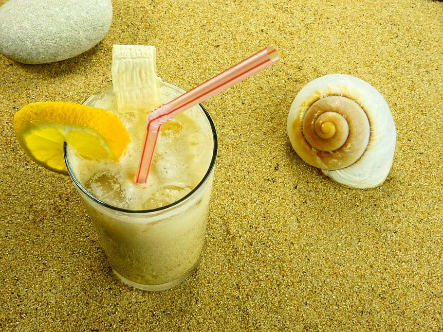 sand, beach, shell, nature, summer, background, map, greeting card HD wallpaper