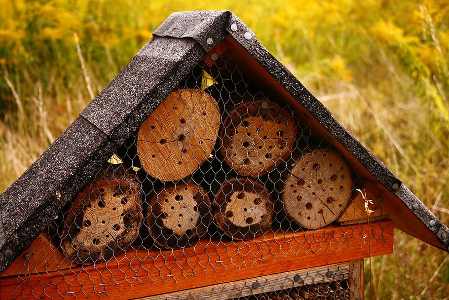 trunks, honeycomb, vegetable garden, timber, nature, land, focus on foreground HD wallpaper