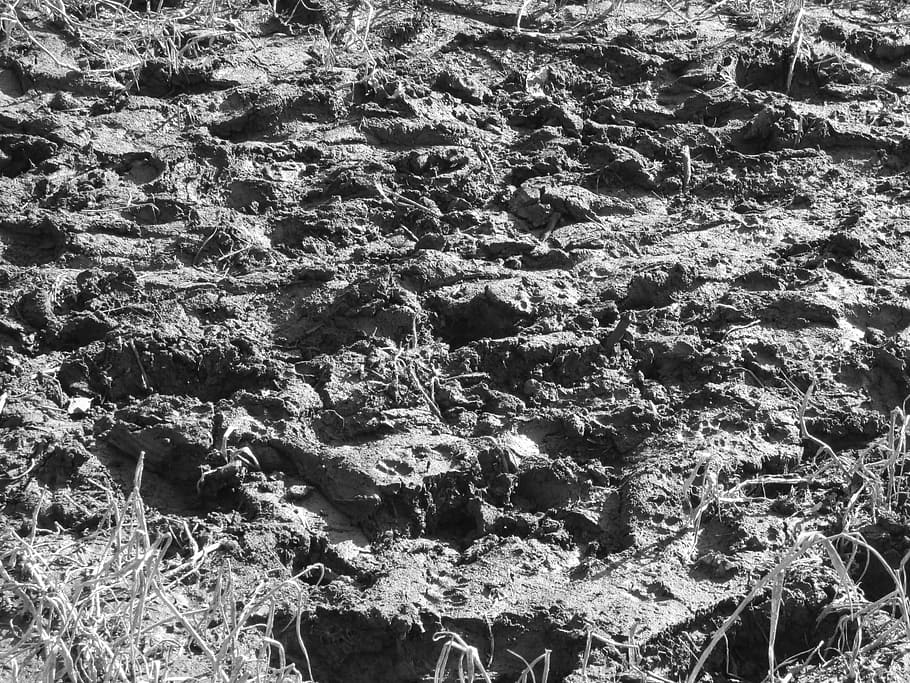 Ground, Mud, Nature, Texture, Background, soil, dirt, earth HD wallpaper