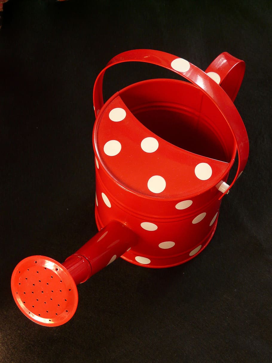 Watering Can, Casting, Points, red, white, small, plant, studio shot HD wallpaper