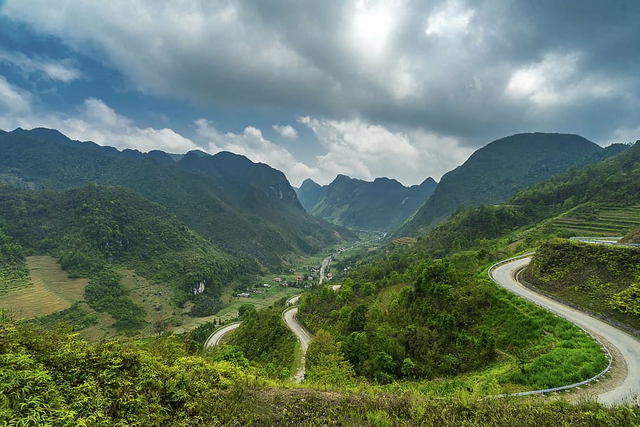 aerial photography of curved road surrounded with green trees, HD wallpaper