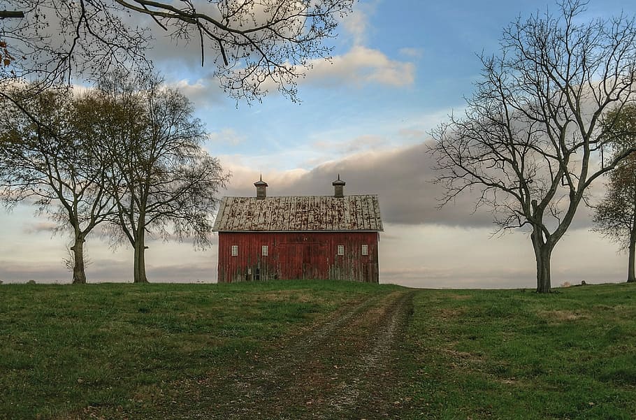Season Change, brown painted house near trees during daytime HD wallpaper