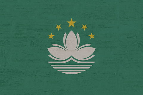 macau, flag, international, green color, leaf, creativity, no people HD wallpaper