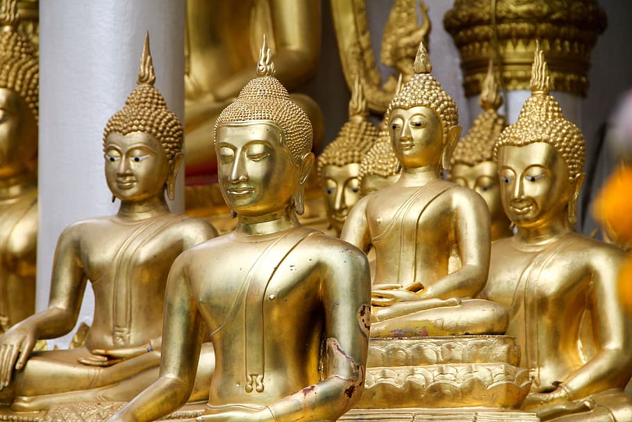 buddha, temple, buddhism, pray, thailand, buddhist, asia, wat HD wallpaper