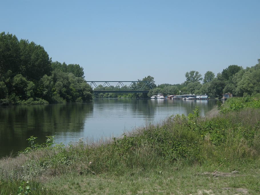 danube, slovakia, river, stream, water, current, rain, branch HD wallpaper