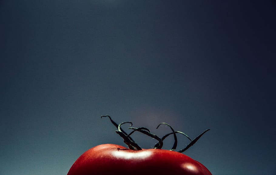 tomato, food and drink, fruit, healthy eating, wellbeing, vegetable HD wallpaper
