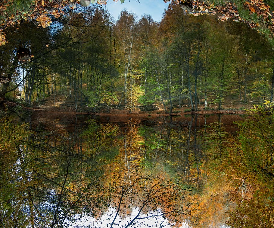 forest, river, kennedy, waterfall, november, leaves, autumn HD wallpaper