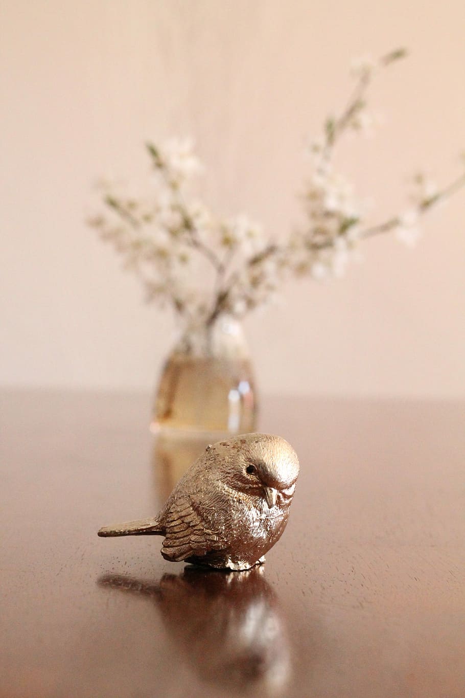 Still Life, Spring, cherry blossom branches, no people, close-up HD wallpaper