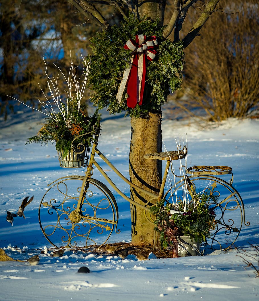tree, winter, outdoors, birds, bird feeder, bicycle, snow, wreath HD wallpaper