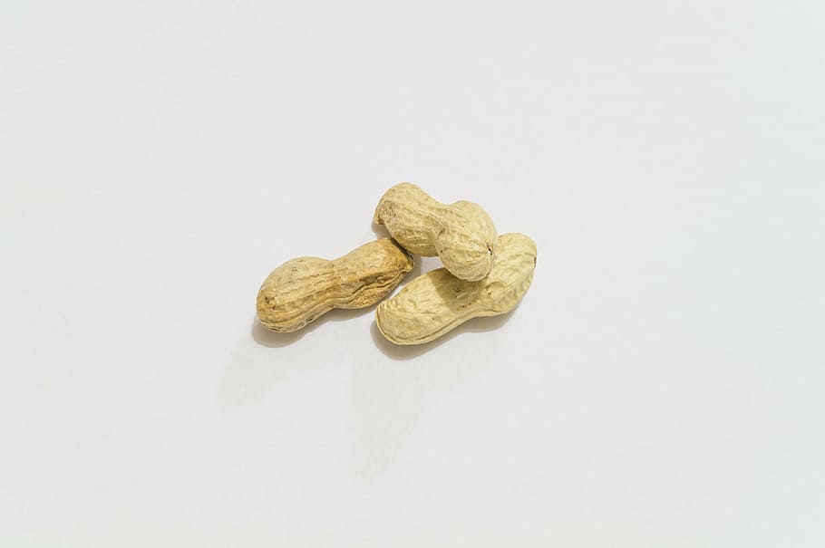 peanuts, aperitif, white background, studio shot, indoors, copy space HD wallpaper