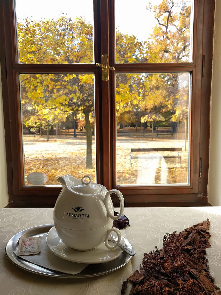 Tea, Window, autumn, park, the view from the window, peace HD wallpaper