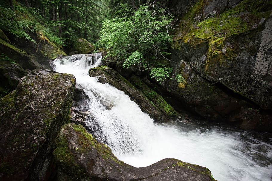 waterfalls, stream, moss, green, trees, plants, nature, rocks HD wallpaper