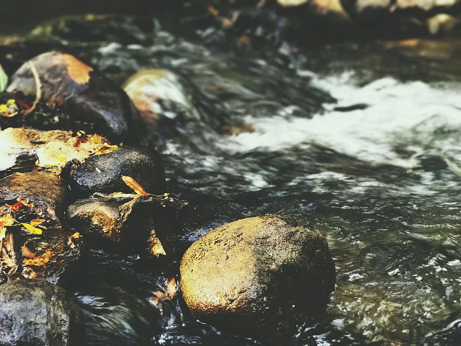 river, forest, water, rust, iron, nail, rocks, wood, stones HD wallpaper