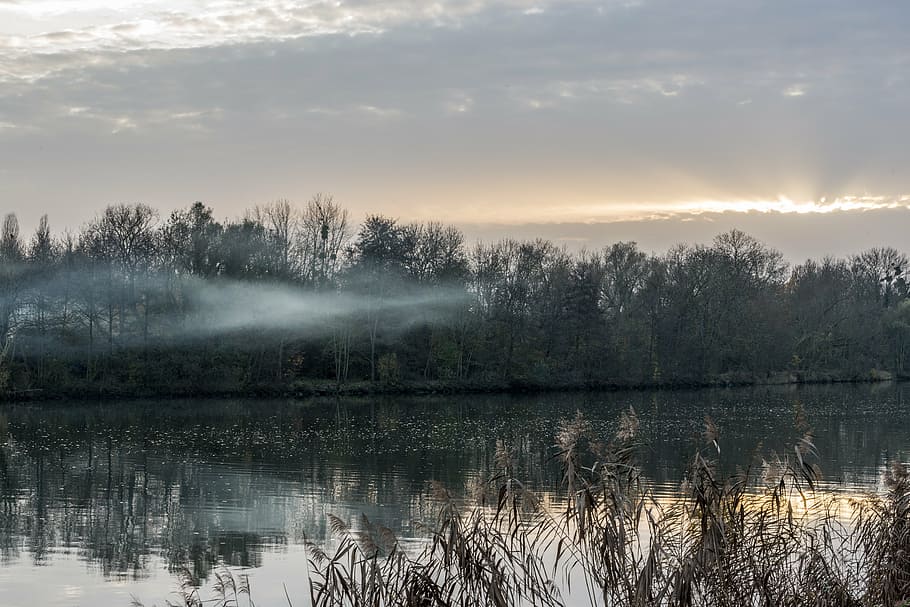 river, mist, evening, water, tree, reflection, beauty in nature HD wallpaper