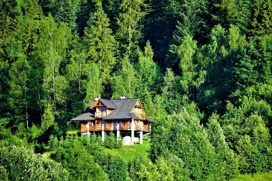 Cottage, Mountains, View, tree, hut, lush foliage, forest, built structure HD wallpaper